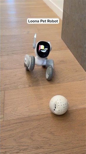 This Is A Robot DOG? #tech #pets