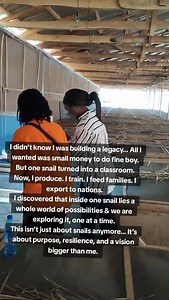 699 reactions · 28 shares | Great tips on how to start a simple snail farm in Africa. Ready? WhatsApp 08078630043 #agriculture #farmingtips #farmprofits #sustainablefarming #business #ngsnails | NG Snails | Facebook