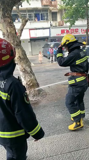 The inside of the tree was on fire | Tofunnyfortv