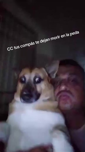 cuando tus compás te dejan solo en la peda