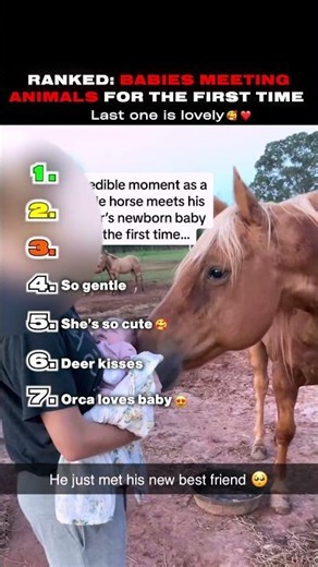 Ranking Babies Meeting Animals for the First Time Ever 😍