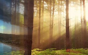 从0到1 精通EXCEL -f