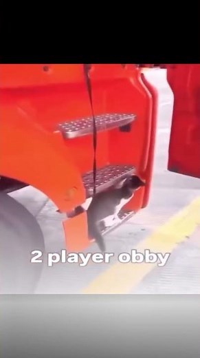 Roblox 2 player obby