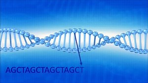 RNA Sequencing on Make a GIF