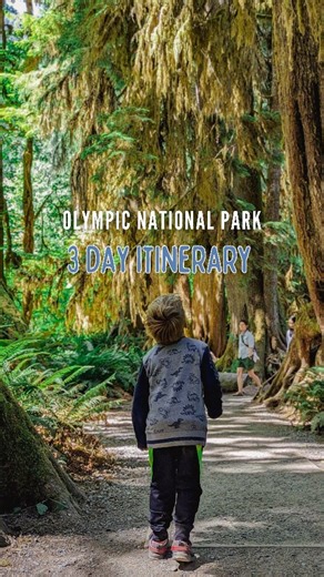Visiting Olympic National Park with Kids! Here is our 3 day itinerary! And we have done this exact Olympic National Park family itinerary with our children (ages four and one). So you know it's been tested and parent-approved! Day 1: Hurricane Ridge and Lavender Farms Day 2: Beach Day! Ruby Beach, Tree of Life, Rialto Beach, Forks Day 3: Hoh Rainforest and Lake Crescent A couple things to note when traveling with kids- most of this trip is done best with a wearable baby carrier! There is one pav
