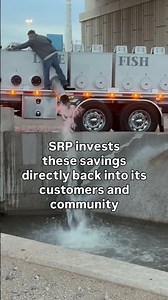 Keeping our 131-miles of canal systems operating smoothly with the help of some fish