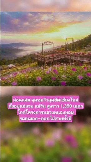 ม่อนแจ่ม เชียงใหม่ จุดชมวิวทะเลหมอกยอดฮิต