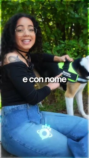 👮🚨 Ecco le 3 Razze di cani più Smarrite