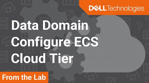 How to Configure ECS Cloud Tier with Data Domain | Dell US