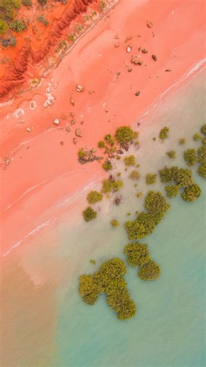 Trailfinders on Instagram: "Western Australia is a destination of contrasts - vibrant cities, world-class wine regions, ancient landscapes and unforgettable wildlife. 🐨 From quokkas on Rottnest Island and wine tasting in Margaret River, to swimming with whale sharks in Exmouth and sunset moments at the Pinnacles, these are the experiences our experts say you shouldn’t miss. Book your Aussie adventure with Trailfinders 🇦🇺 #Trailfinders #WesternAustralia #VisitWA #AustraliaTravel #AussieAdventu