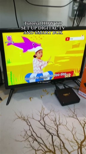 Cómo configurar TV digital y smart box