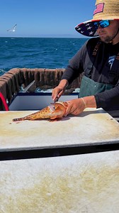 209K views · 358 reactions | Loading up on Sculpin!酪The...