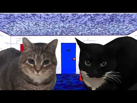 Uiiaiouiiiai VS Maxwell The Cat 🎶 (FNF Basics V2)