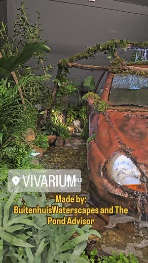 The most photographed and videographed pond in the world. What an experience to build this together with The Pond Advisor Vivarium 2025 #vijver #aquaticart #aquascape #pond #cars #waterfall #emotion #vivarium | BuitenhuisWaterscapes