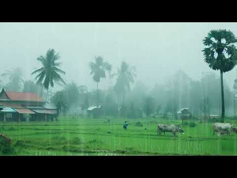 Relaxing Rain & Frog Chorus for Deep Sleep | Natural White Noise | Fall Asleep Quickly