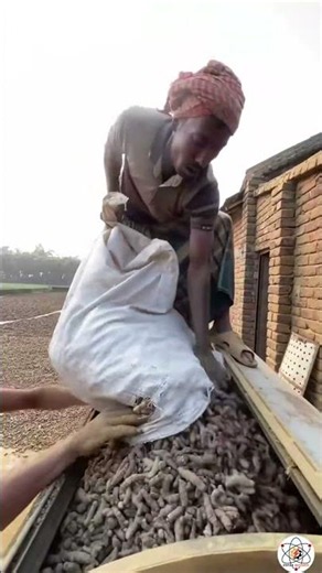 Haldi