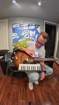 FRANKENSTRUM Explained