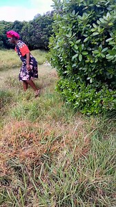 2K views · 28 reactions | Toilet  #everyonehighlightsfollowers #followersreels #fanycomedy #everyonefollowers #viralvideochallenge #fanyvideo #comedy #follower #followers Tete Shamiso Gutu | Hondo skits | Facebook