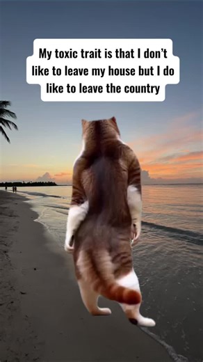 My toxic trait is that I don’t like to leave my house… but I will leave the country for a good trip. Good thing Book Club at Sea exists. 📚🚢 #wishfulwanderingstravel #bookclubatsea