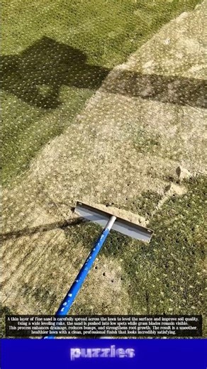 Why Pros Add Sand to Grass? Satisfying Lawn Transformation!