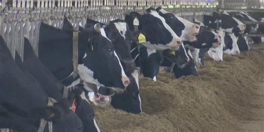 Local farm receives $190,000 payment after canceled federal government contract