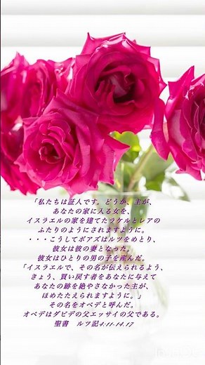 #聖書ルツ記4:11-14.17#みことば#神様 #イエスキリスト #福音 #ショート #愛 #love #jesus #bible #gospel #キリスト教#クリスチャン#shorts#ボアズ