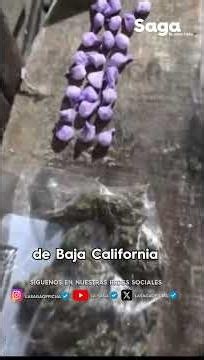 NARCO-TUNNEL UNDER TIJUANA!: Incredible connection to the U.S.