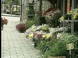 Secret Service - If I Try