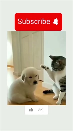 The Ultimate Funny Voice Remix Compilation! (Try Not To Laugh) 🤪