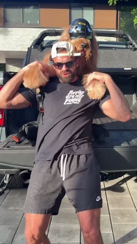 How my gigantic fluffy dog fits in a backpack! #dogbackpack #dogdad #bigdog