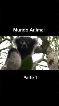 How Animals Talk: The Secret Language of the Jungle