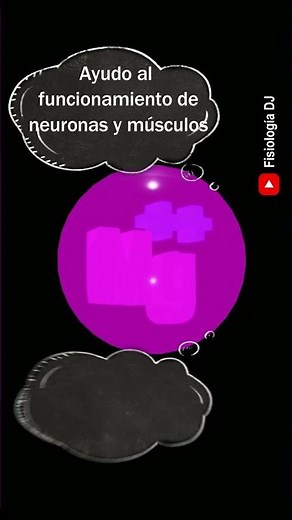 Líquidos y electrolitos fisiología | Líquidos y compartimentos corporales | Importancia ion magnesio