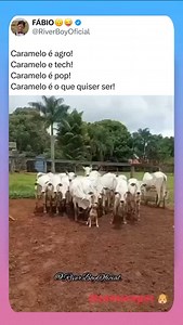 Memes Twitter on Reels