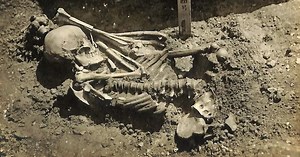 Human Bones Reveal Oldest Shark Attack in History