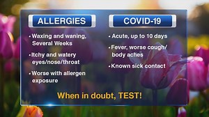 3.6K views · 27 reactions | Spring and fall go hand in hand with allergies in the Chicago area. The symptoms can often look similar to COVID. https://abc7.ws/3LMRyjg | ABC 7 Chicago | Facebook