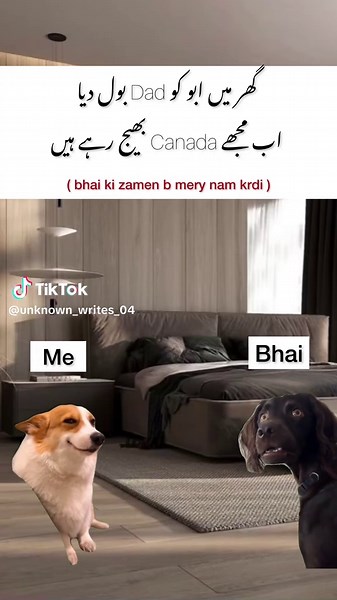 O My Yes: The Funniest Memes Compilation 😂