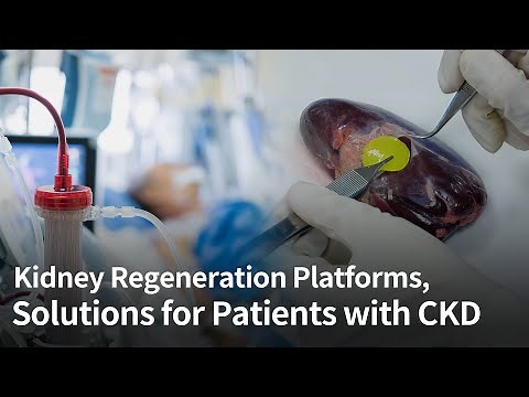 [Kidney Regeneration]- AI and 3D Bioprinting Organ Regeneration Platform