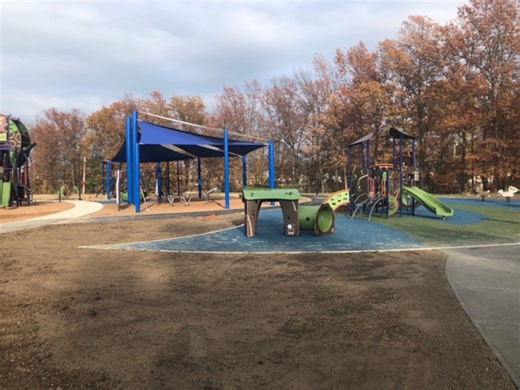 Childhood landmark in Avon Lake’s Bleser Park comes down after three decades
