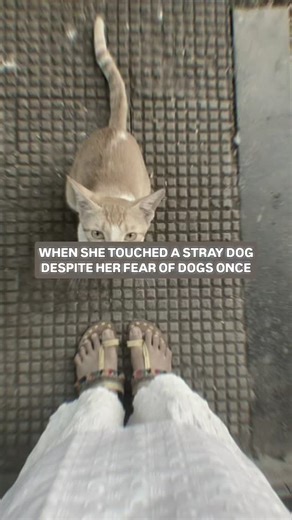 Heer on Instagram: "[Wattpad, desi, romance, novel, 1m, books, dictionary, literature, he fell first and harder, college romance] #wattpadbooks #wattpadrecommendations"