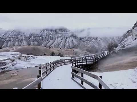 Morning Walk at Mammoth Hot Springs Terraces in Yellowstone
