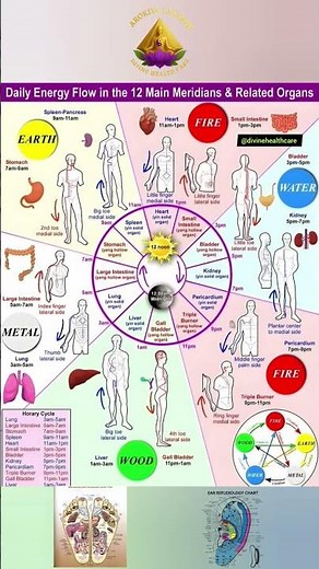 Body Energy Clock Explained | 12 Meridian Healing Cycle | TCM Wellness Guide