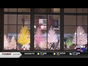 A showcase of aluminum Christmas trees at the Manitowoc Public Library