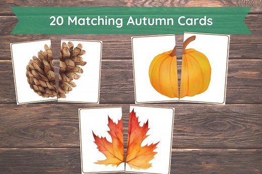 Fall Matching Toddler Activity,autumn Matching, Montessori, Homeschool Resource, Pumpkins, Acorns, Woodland Creatures - Etsy