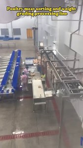 The poultry sorting and grading processing line is the core system of a modern poultry processing plant, transforming slaughtered carcasses into standardized, high-value commodities. Through automation, it achieves precise grading of carcasses by cut, weight, and quality throughout the entire process. Automatic weighing and grading: The whole poultry is dynamically weighed initially and pre-graded by weight. High-precision sensors and a sorting system provide the basis for subsequent process div