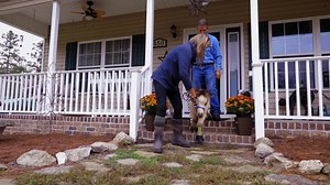 They were born to run. Derrick Campana is helping them get there. 🐾 Introducing a show where animals get a second chance at mobility with custom prosthetics and braces. Watch Wizard of Paws Wednesdays 9:00pm ET | 6:00pm PT on BYUtv | BYUtv