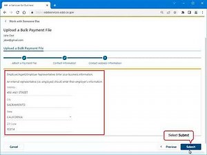 Upload a Bulk Payment