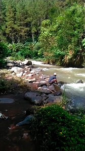 The power of the python. Alam tak akan bicara dlm menentukan sikapnya. | Yuli Yanto