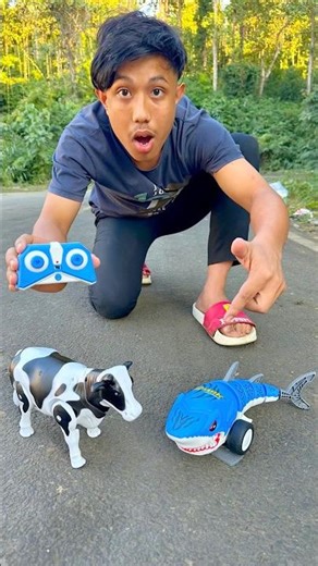 Cow VS remote control Shark 🦈 🔥