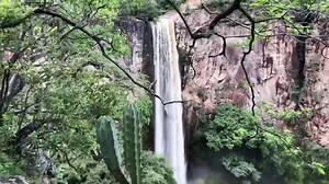 153K views · 4.9K reactions | ESTO NO ES NARNIA NI UNA ESCENA DEL SEÑOR DE LOS ANILLOS ES PARTE DE AGUASCALIENTES, UN SITIO CON 2000 METROS DE ALTURA Y CLIMA SEMI DESERTICO!!! ES MAGIA! Cascada "LOS HUENCHOS" Calvillo por Fernando Romo | Aguascalientes de Mexico | Facebook