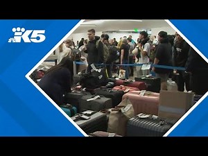 Alaska Airlines ground stop causes airport chaos